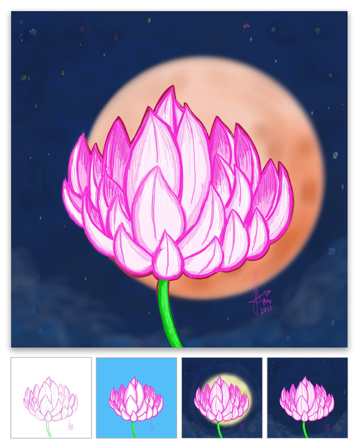 Lotus Flowers and Meditative Thoughts | Ferdi's Drawings |