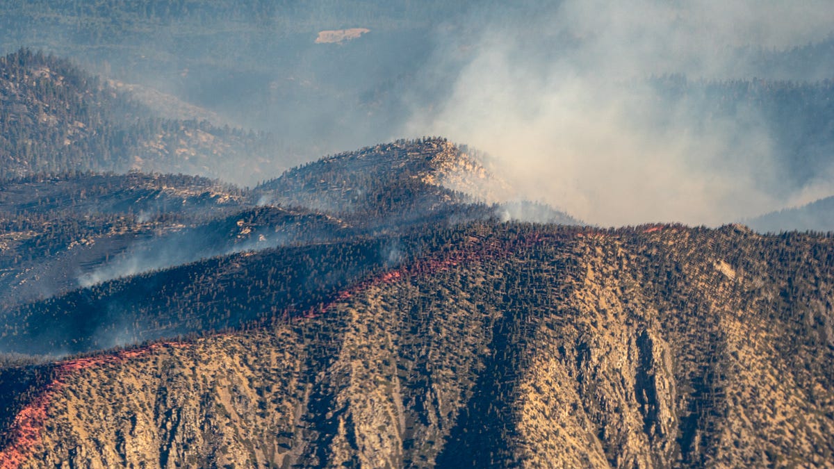 UC Berkeley’s Fire Research Group aims to spread information, not flames