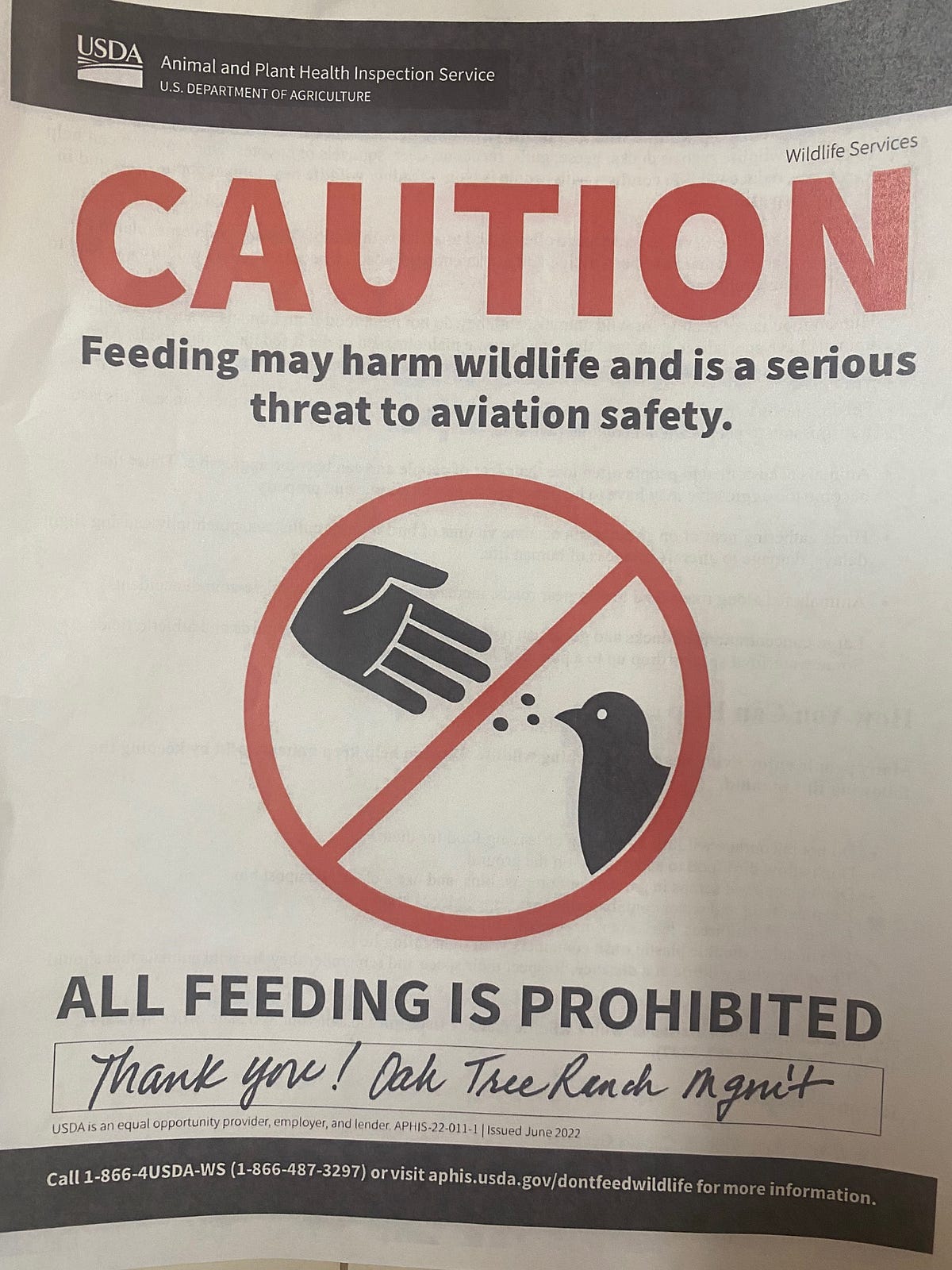 Bird Feeders Are Now Illegal in My Yard by Michael Rhodes The Daily