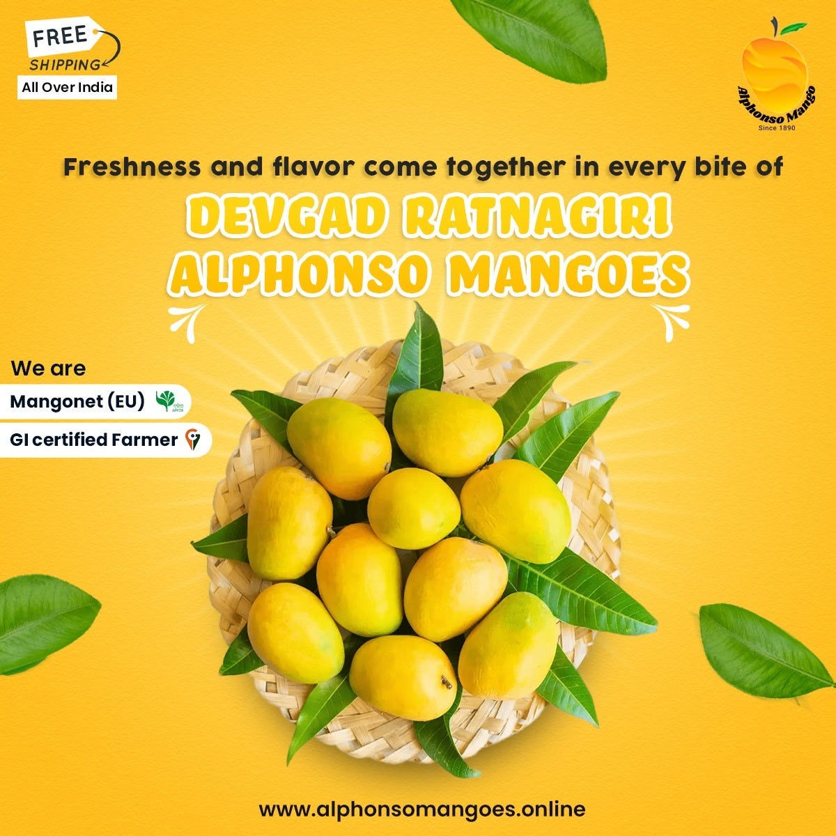 Delight in the Goodness of Devgad Mangoes — Order Online Now