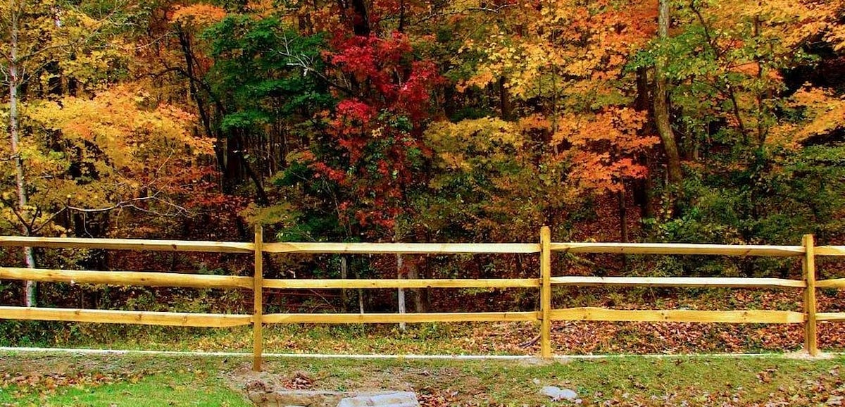 Should I Use Pressure Treated Wood For Fence Rails? by FSC Club Jun