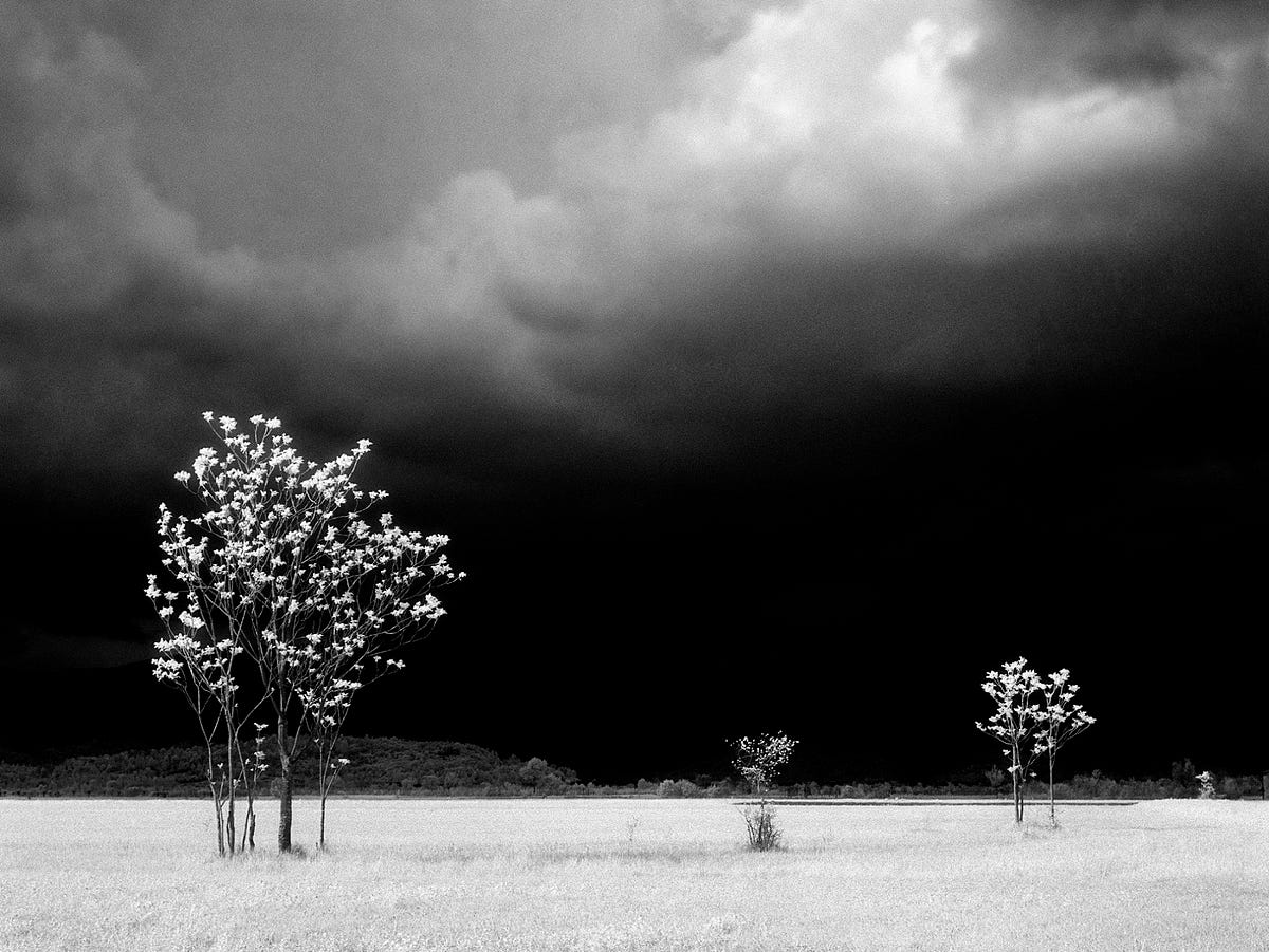 Black and White photography Elio Ciol | by Exposition Art Blog | Medium