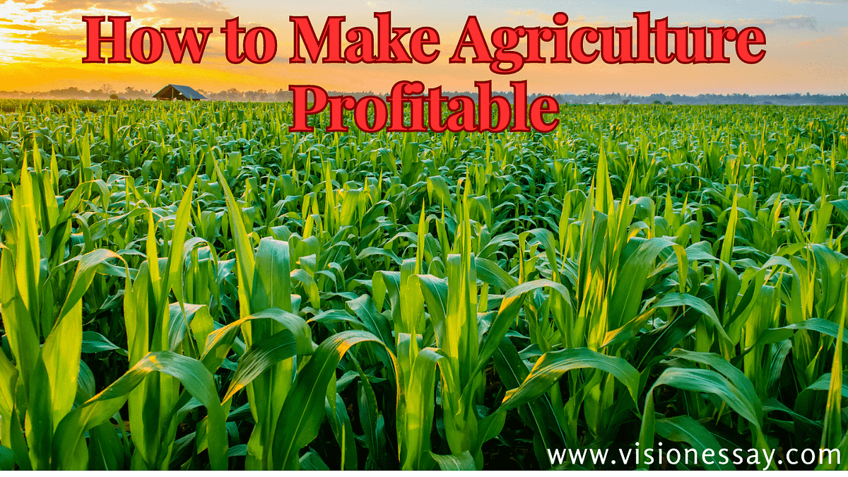 How to Make Agriculture Profitable in 2023 by Andrew Medium