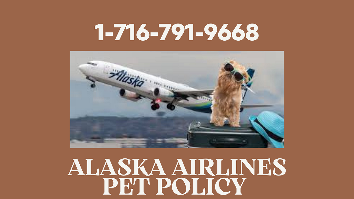 Flying with Pets Alaska Airlines’ Pet Policy Simplified{{{{1716791