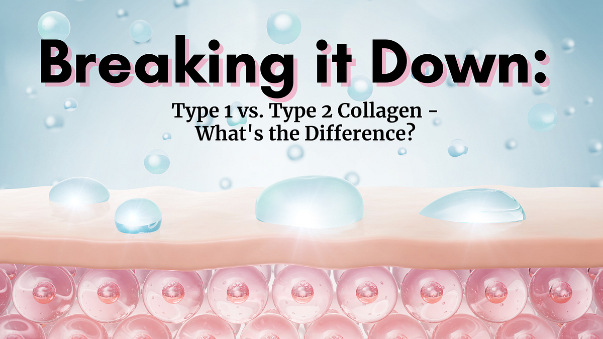 Collagen Comparisons Exploring Type 1 and Type 2 for Your WellBeing