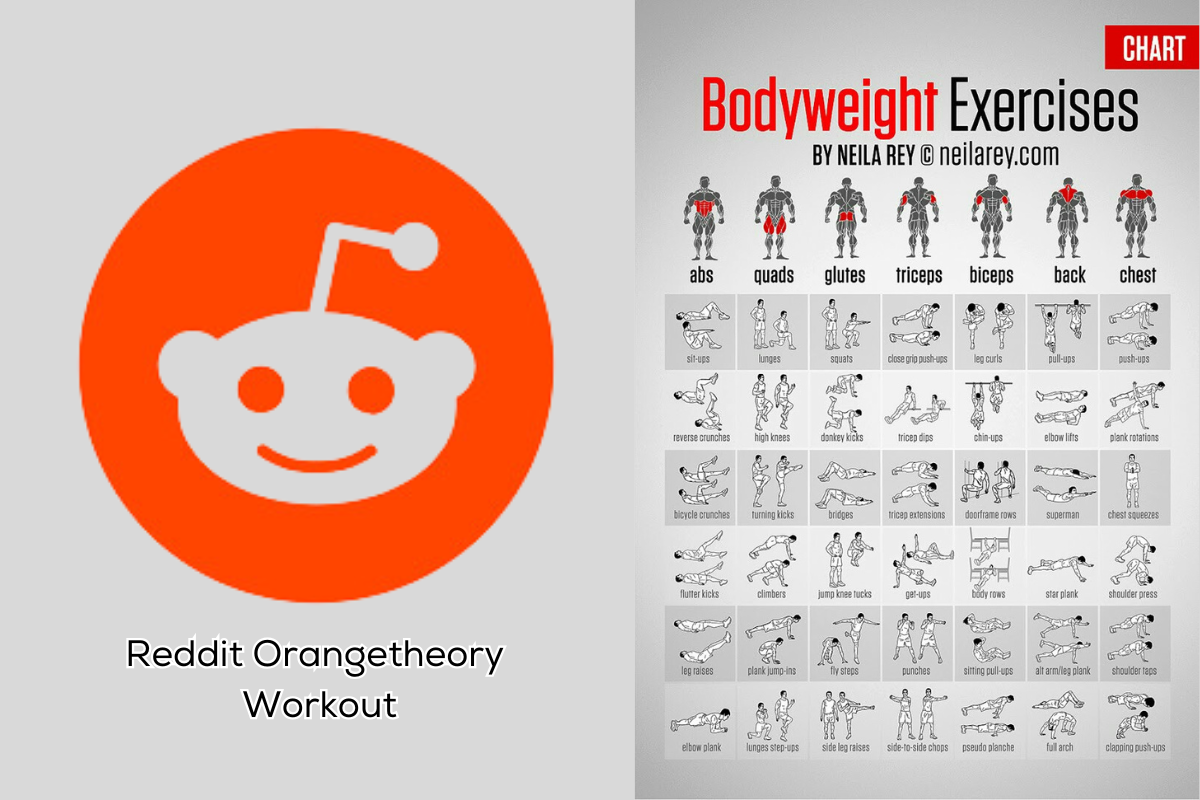 Reddit Orangetheory Workout Today A Look at Today’s Hottest Classes