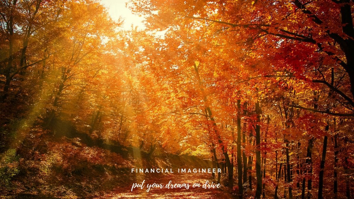 Nature & Weather: くそ Explore Your Mind [DVD](中古品) 