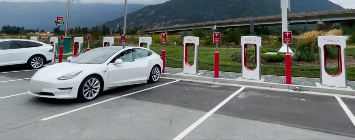 Toronto Chow’s Tesla Ban - National Movement as Other Canadian Cities ...