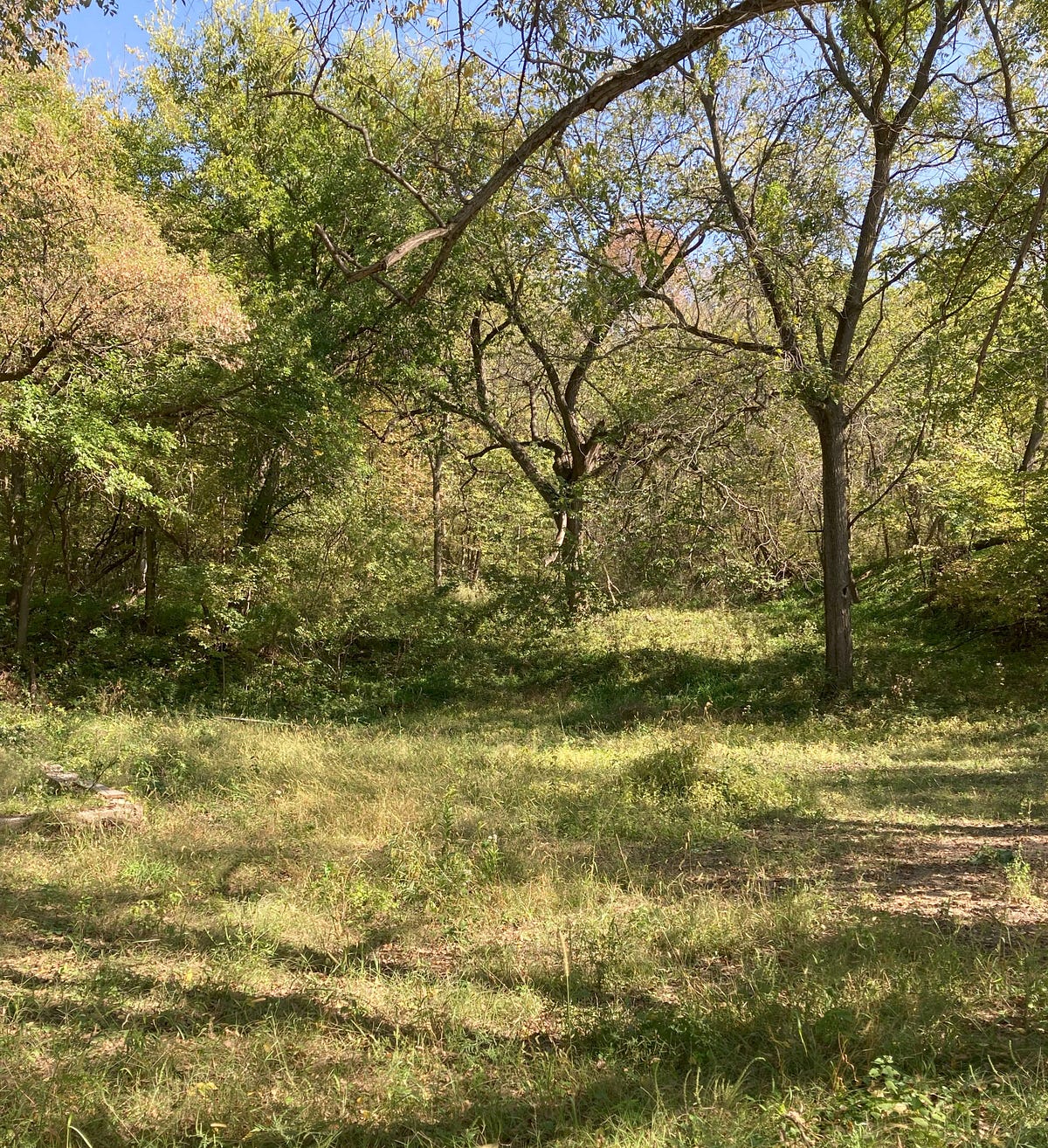 Ever Build A House By Yourself?. Here’s our story Chapter Four — Sneak