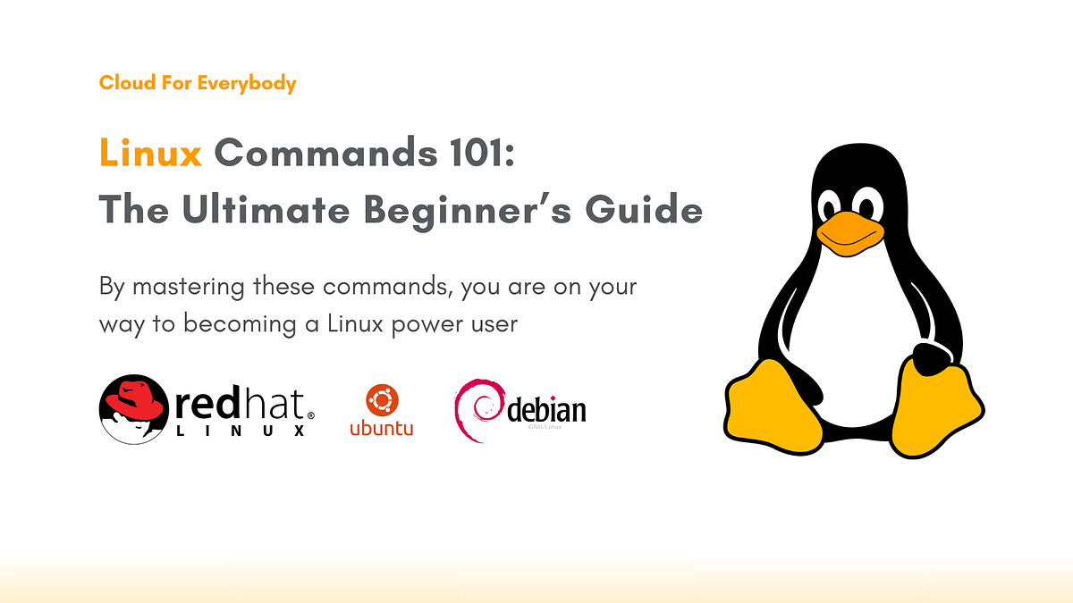 Linux Commands 101: The Ultimate Beginner’s Guide | by Aliyan Shaikh ...