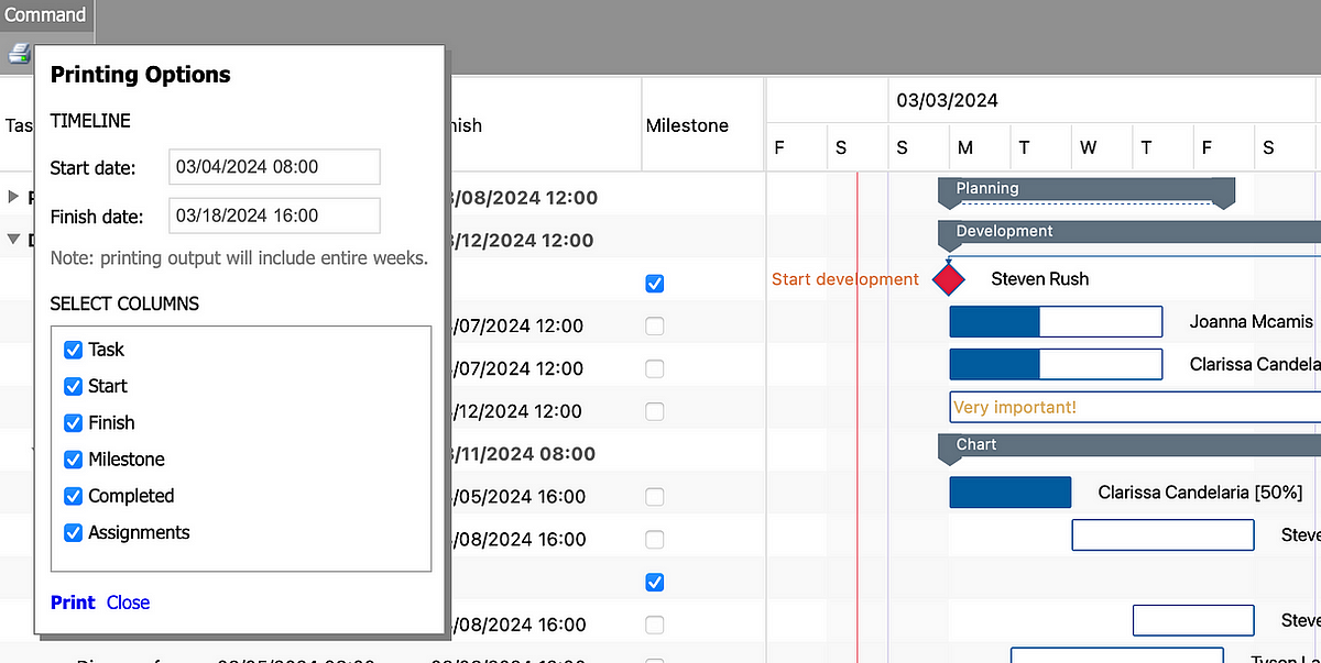 Customizing printing — GanttChartView (JavaScript + Angular, React, Vue ...
