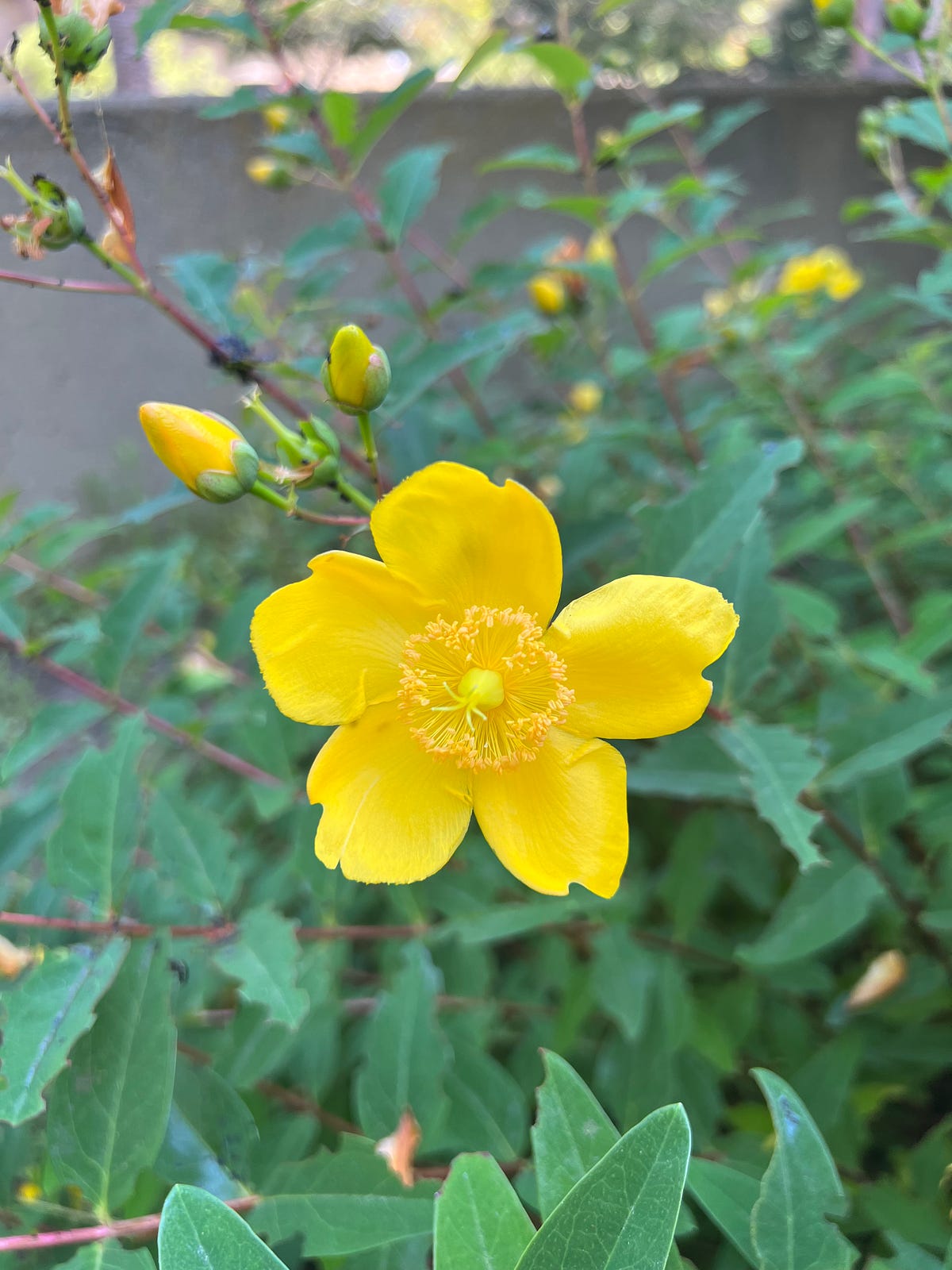 Short Handed. I’ve been meaning to write a vow or a… by Nikoo