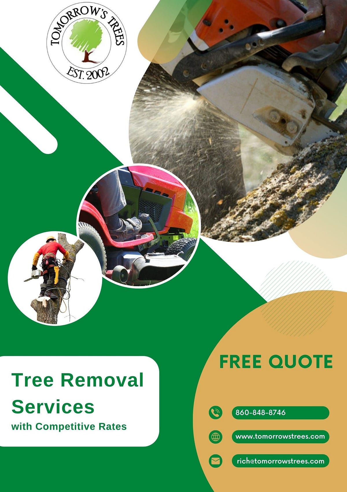 Transform Your Property with CT’s Premier Tree Removal Tomorrowstrees
