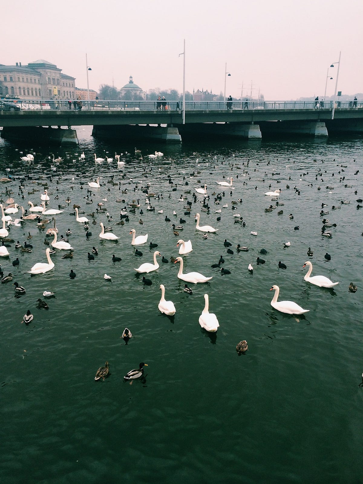 Networking is a waste of Time. Relearning an old art by Raul Gonzalez