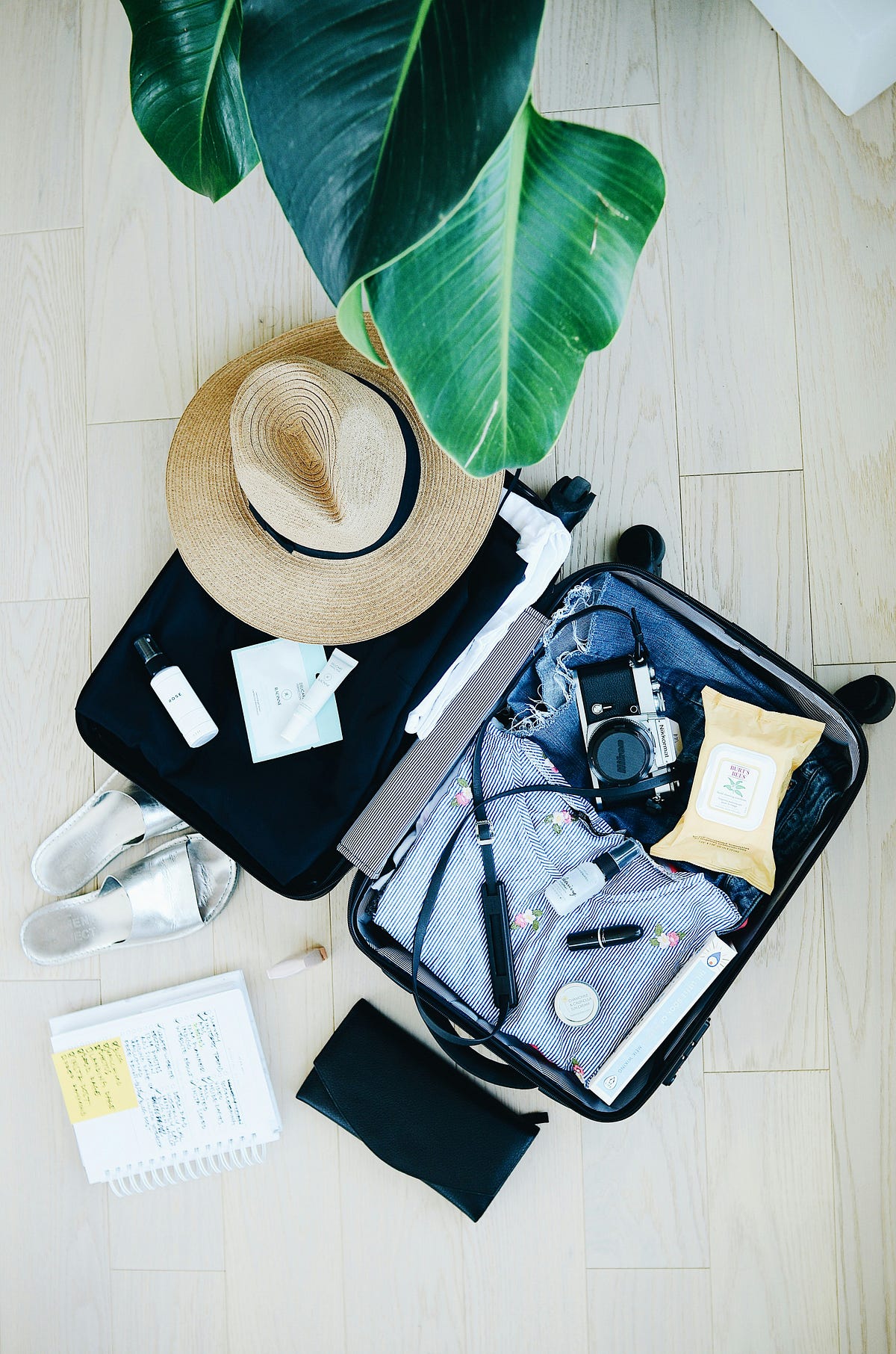“Top 7 Luggage Brands in 2024 InDepth Analysis and Reviews” by