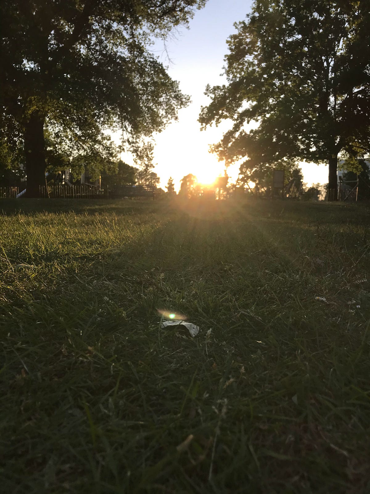 The Longest Day 2024 (Alzheimer’s Association) by Joumana McGowan