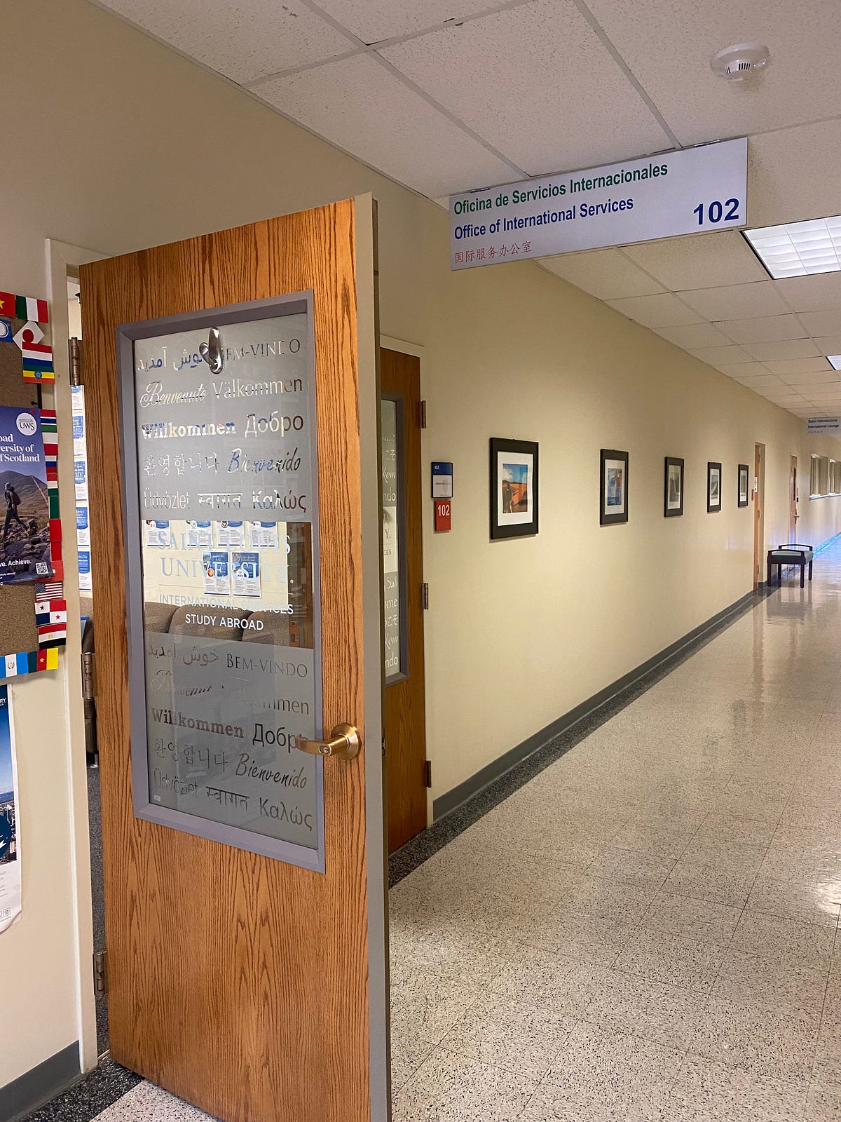 The biggest resource for international students at SLU | by Sara ...