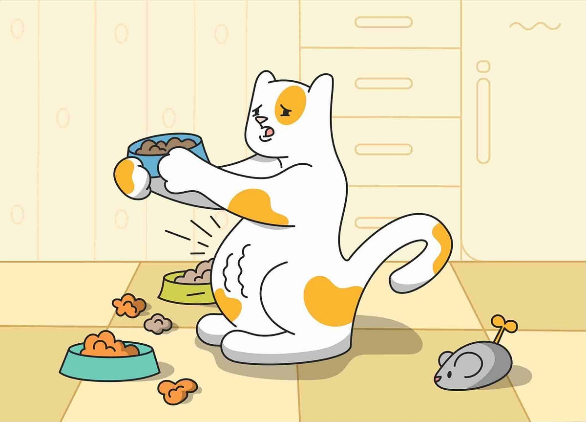 Why Is My Cat Always Hungry?. Excessive hunger in cats may be caused