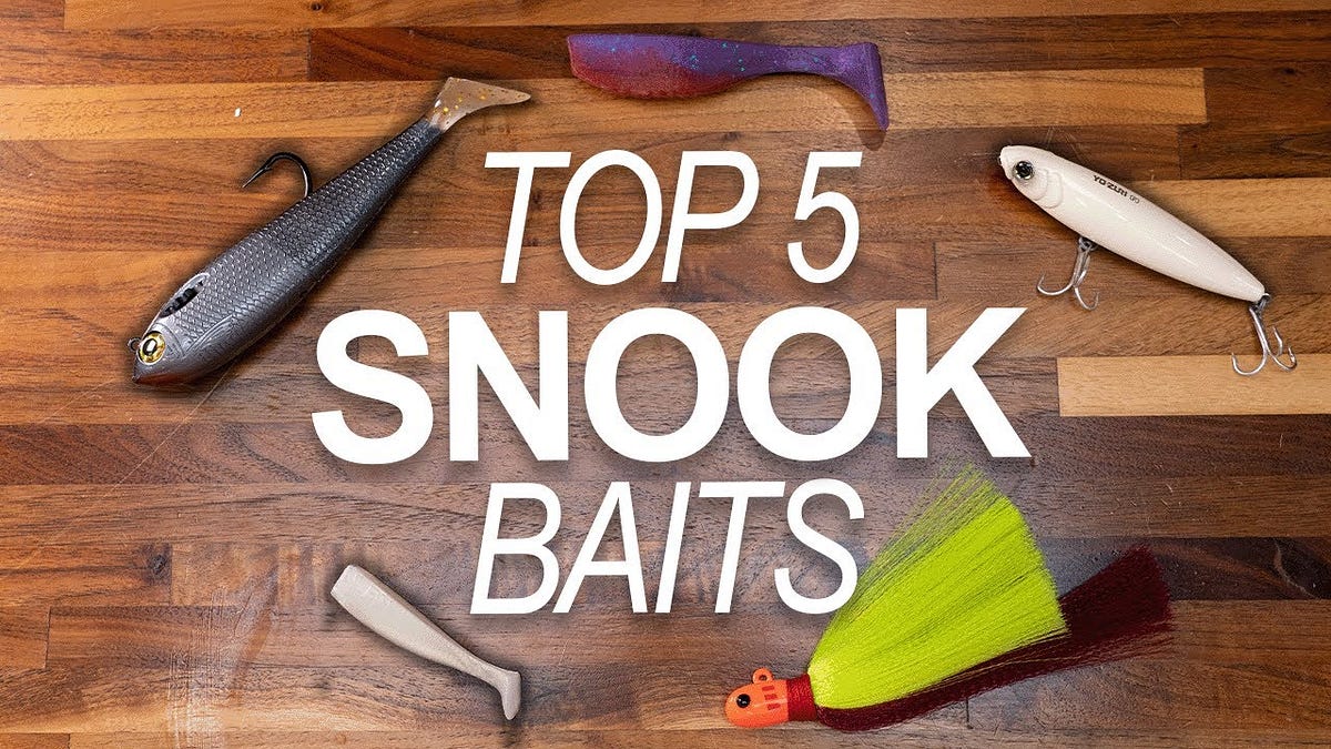 What is the best bait to use for catching snook? by James A. Rockey Mar, 2024 Medium