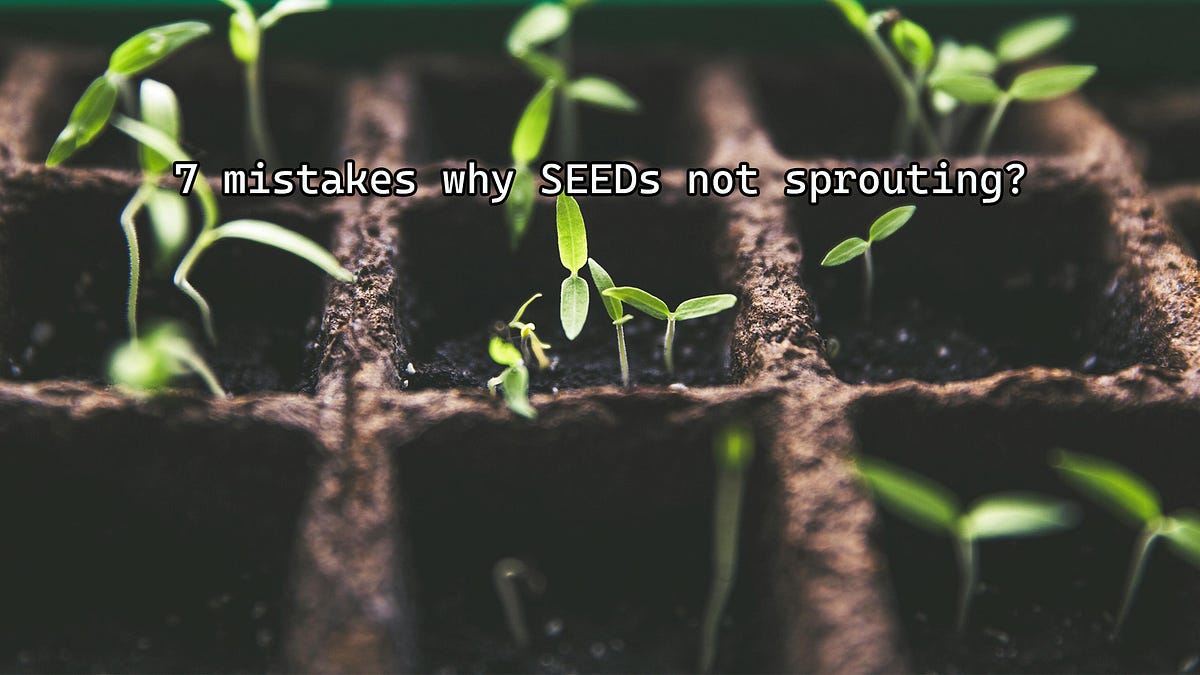 7 MISTAKES Why Seeds Not Sprouting by Plantsrobot Jun, 2024 Medium