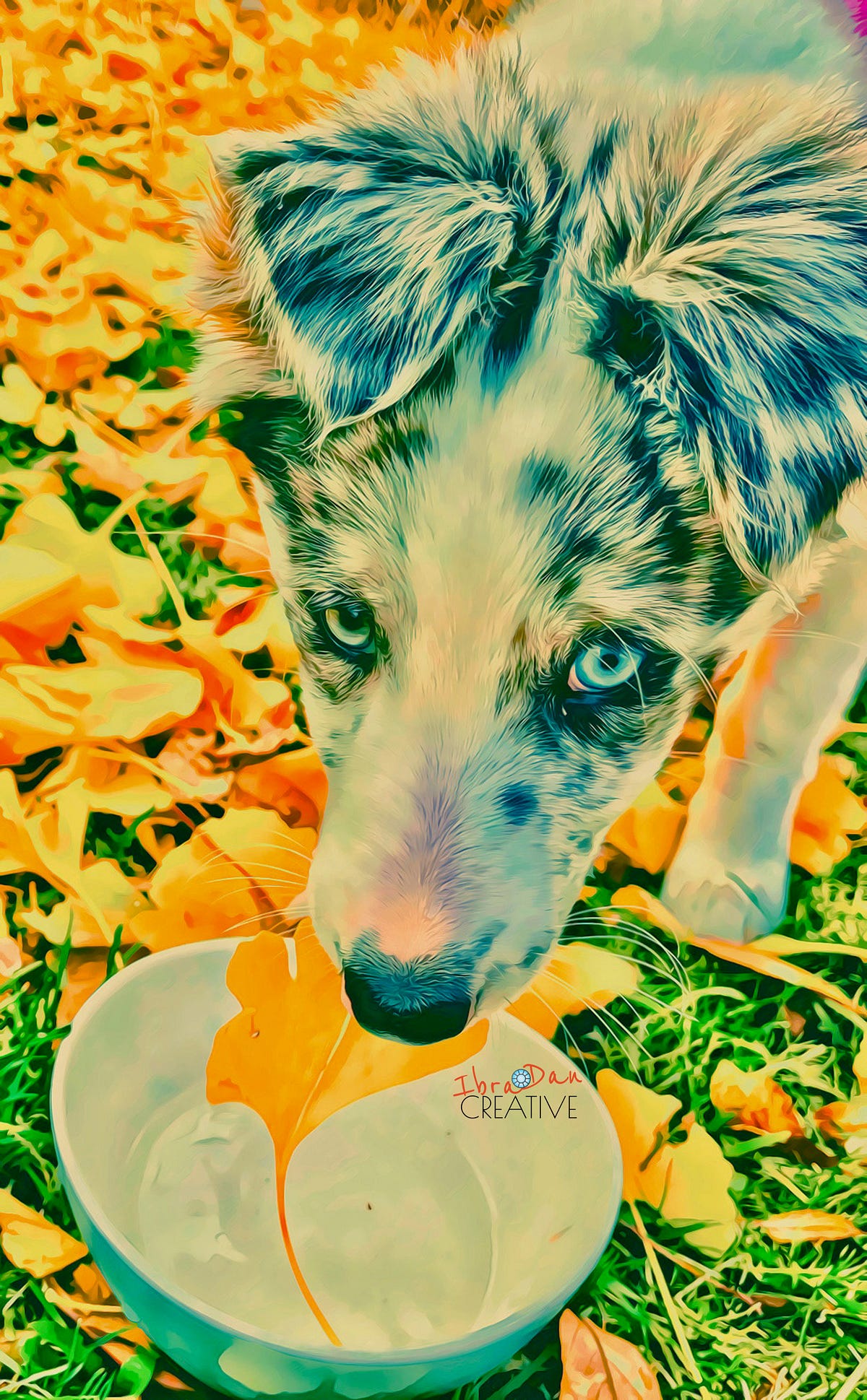 when-your-pet-dog-dies-it-s-like-losing-a-child-why-you-don-t-ever