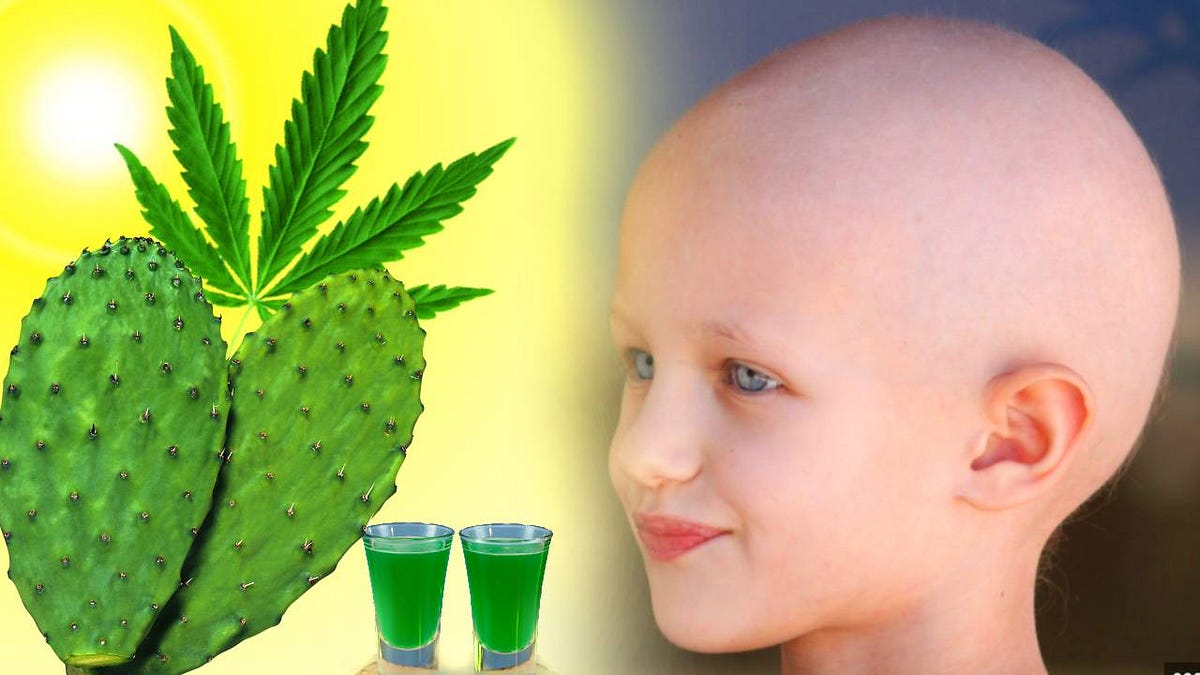 3 REMEDIES YOU NEED TO KNOW ABOUT, IF YOU HAVE CANCER by Elgolens