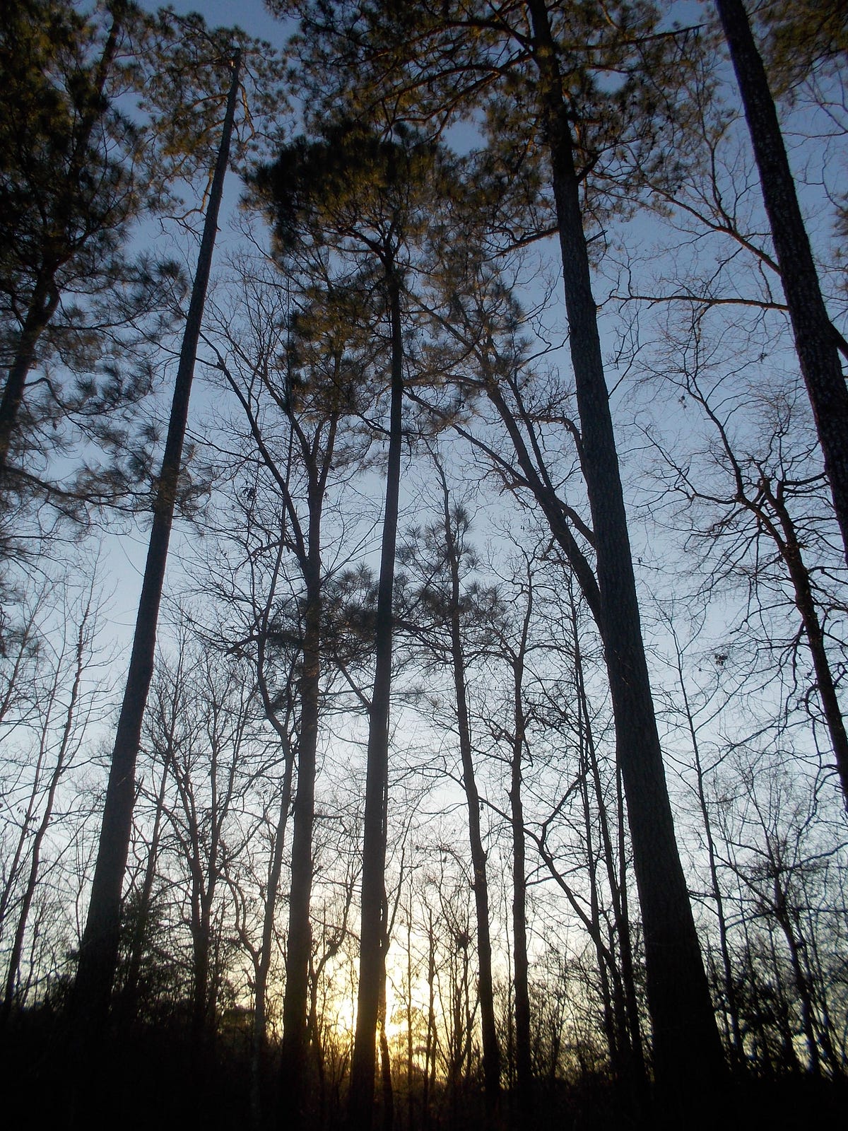 Th Day: A Warning From The Past? - 6av9ifl