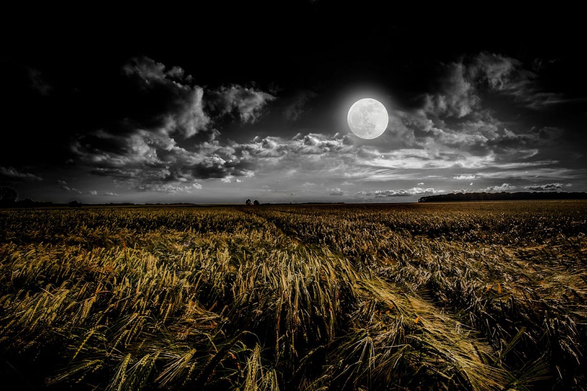 The Full Moon In Me, Gemini Brings Light by Gemini May Wake. Write