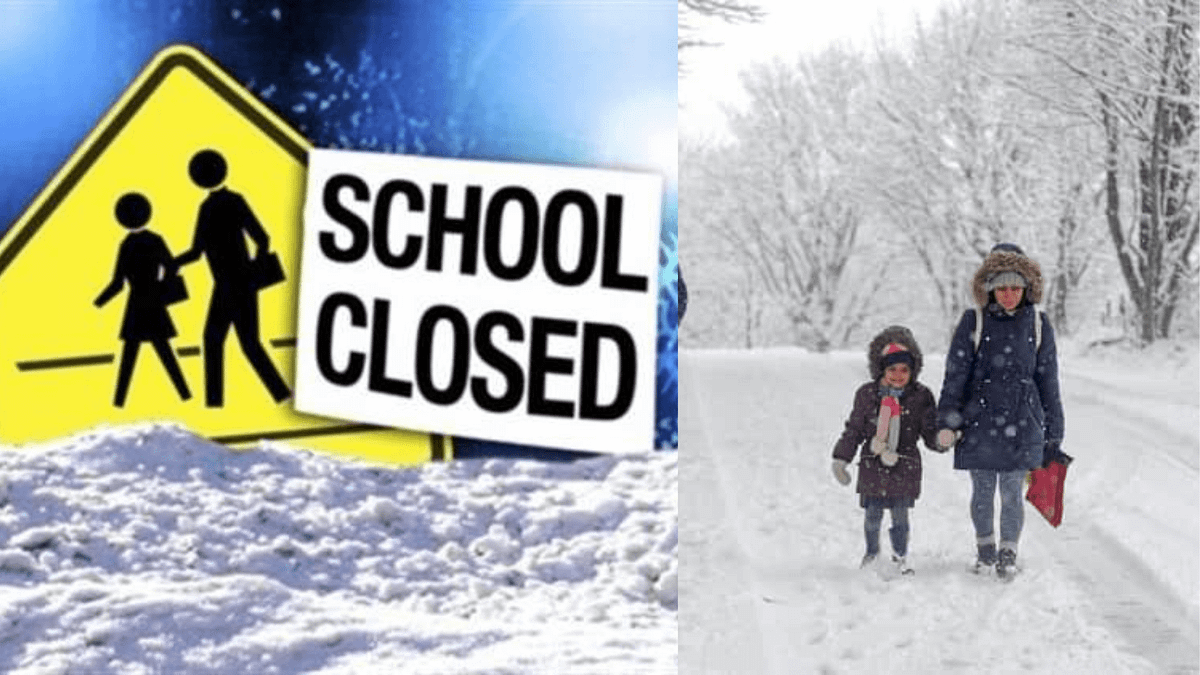 How Cold Does It Have to Be to Cancel School? The Chilling Truth by NkR Jan, 2024 Medium