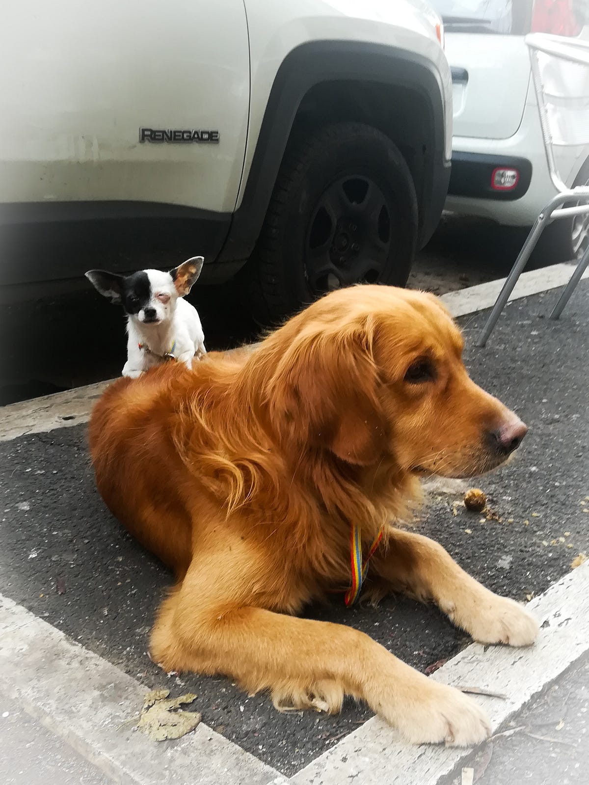 How to start R/Python code to make your workmates grateful | Towards ...