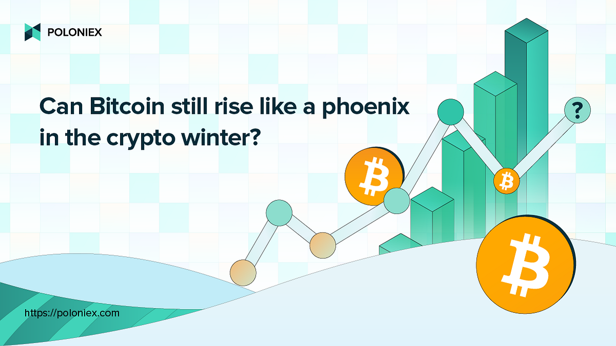 Can Bitcoin still rise like a phoenix in the crypto winter? | by Poloniex |  The Poloniex blog | Medium
