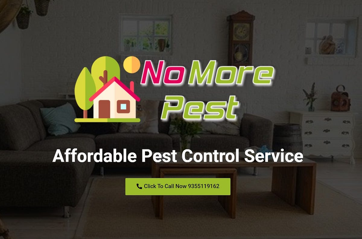 Affordable Pest Control Indirapuram No More Pest Medium
