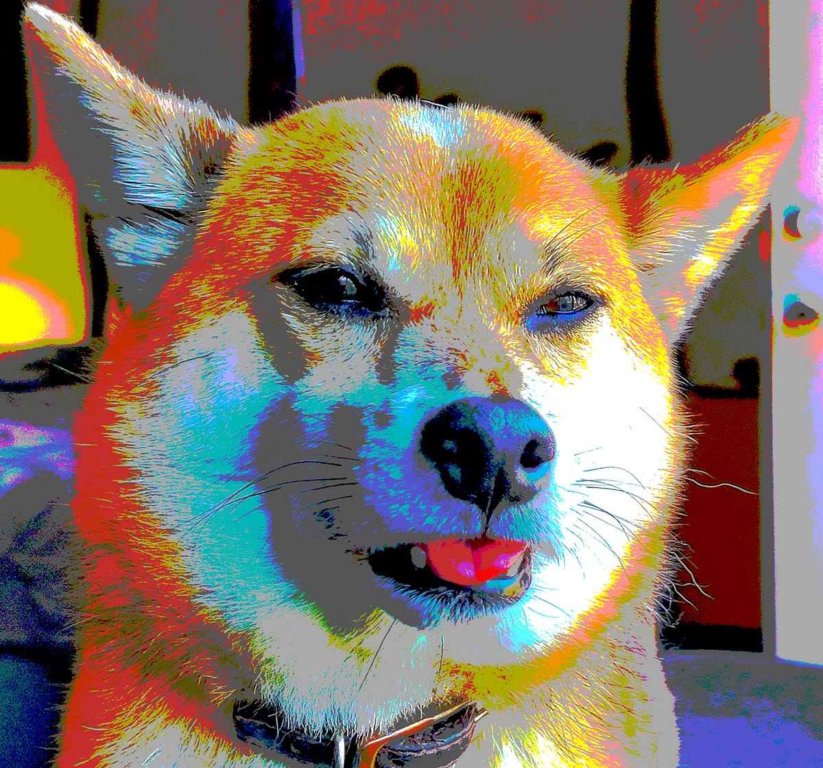 My Dog Hates Getting High. It’s that darn paranoia by Mona S Gable