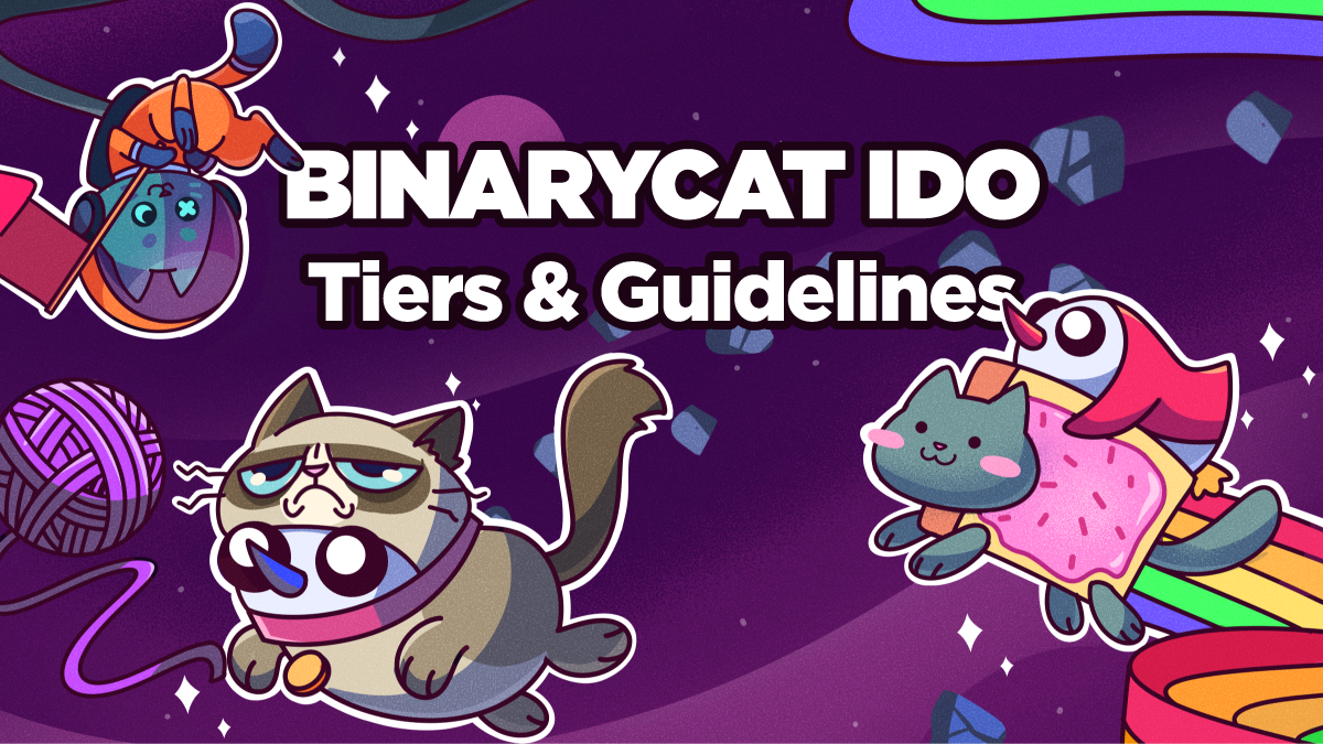 Penguin Launchpad: BinaryCat IDO Tiers & Guidelines, by Penguin Finance