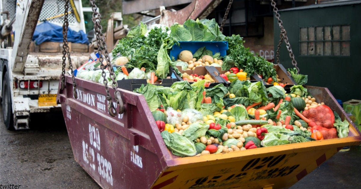Food Waste How to Solve the Hunger Problem in Complex by Ivan Gurkin