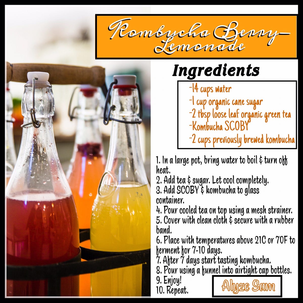 Kombucha Brewing; Education &amp; Instructions | by Alyze’s Antidote | Medium