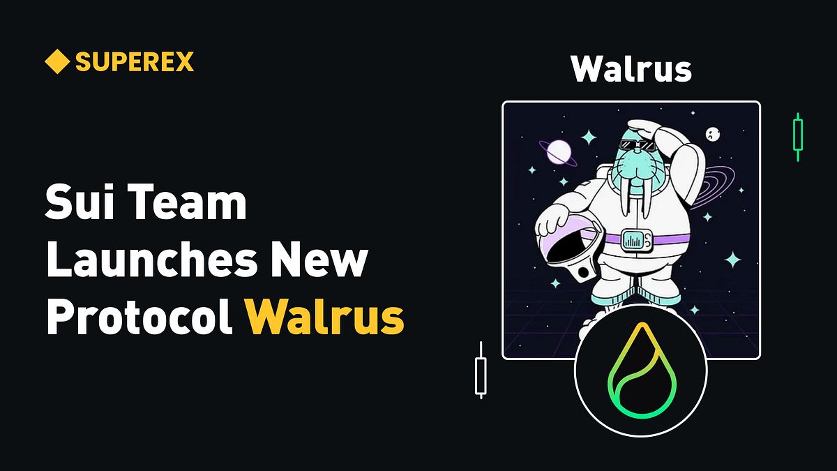 SuperEx丨Sui Team Launches New Protocol Walrus, Aiming to Surpass Filecoin |  by SuperEx | Medium
