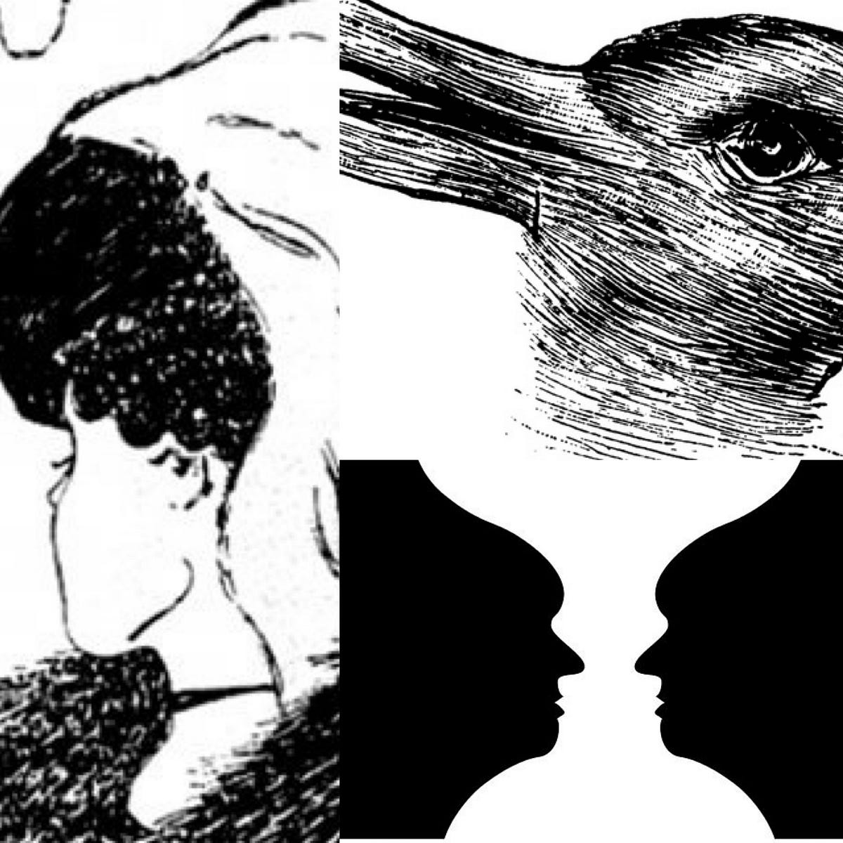 Optical Illusions. Did Moses hit the rock in anger, or did… by Rabbi Sara MasonBarkin