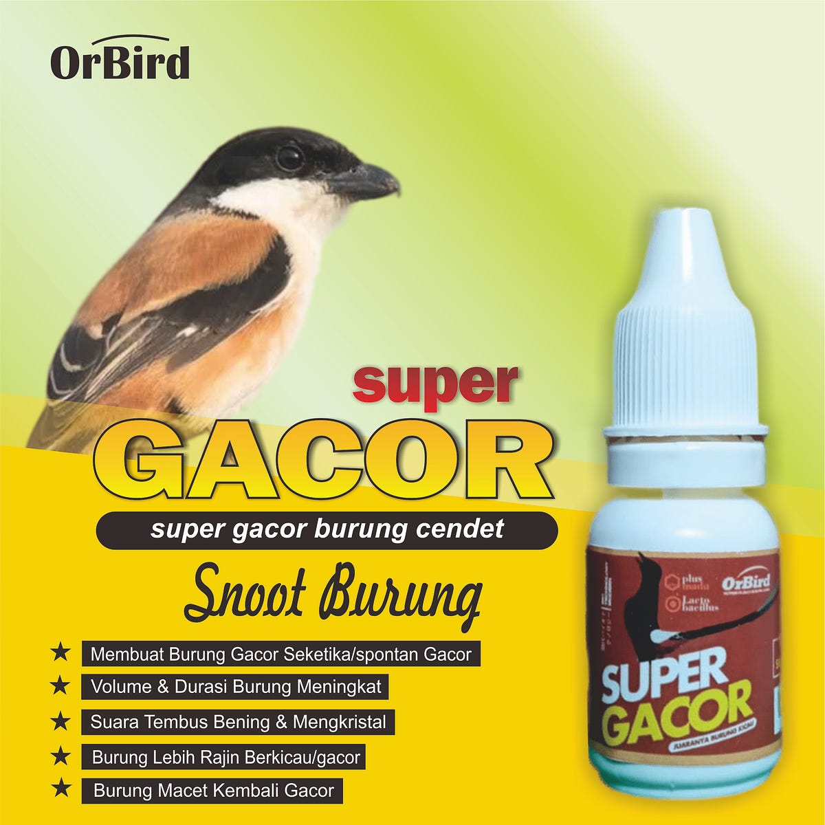 pusat-supplier-wa-0812-1575-759-pabrik-obat-burung-cucak-ijo-biar