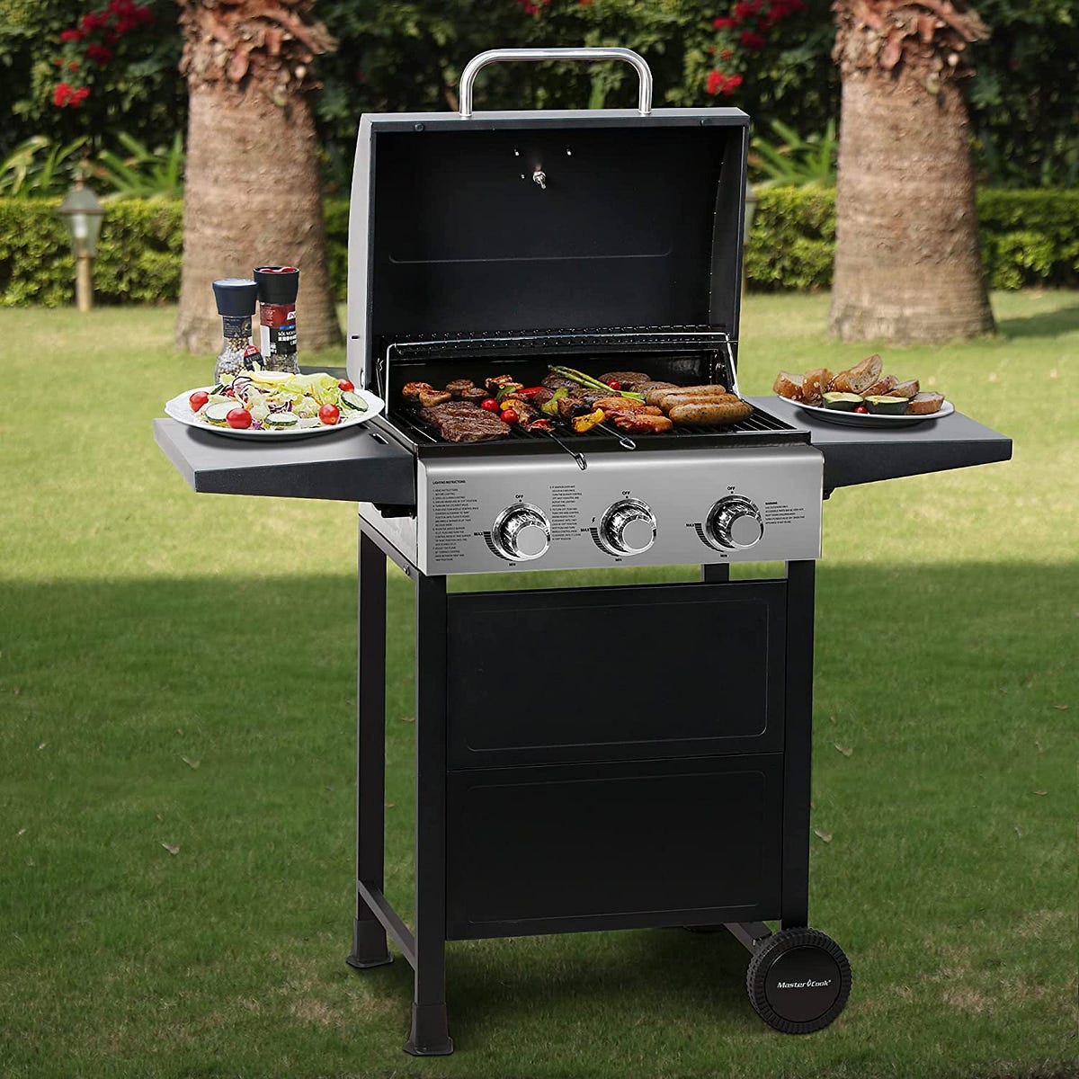 Master on sale cook grill