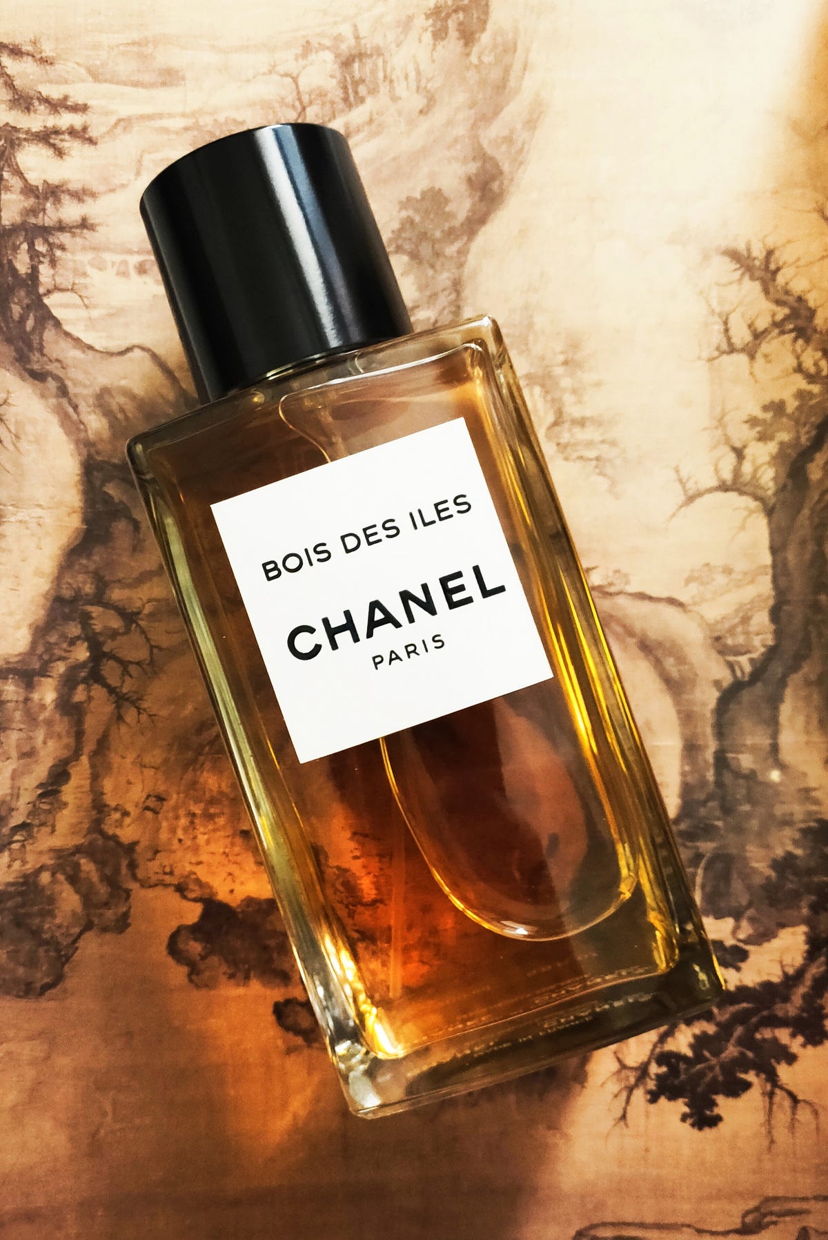 【Chanel Bois des Îles】 Nefertari Medium
