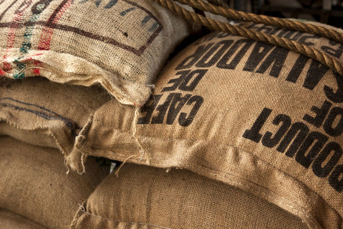 Buyer’s Guide For Coffee Bean Suppliers by Vietnam coffee export Medium