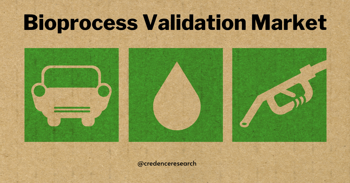Key Drivers and Trends in the Bioprocess Validation Market