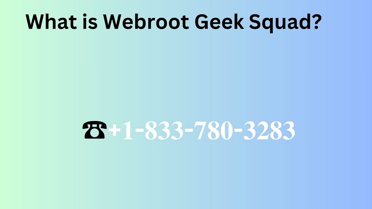  what is webroot geek squad by olive mun feb