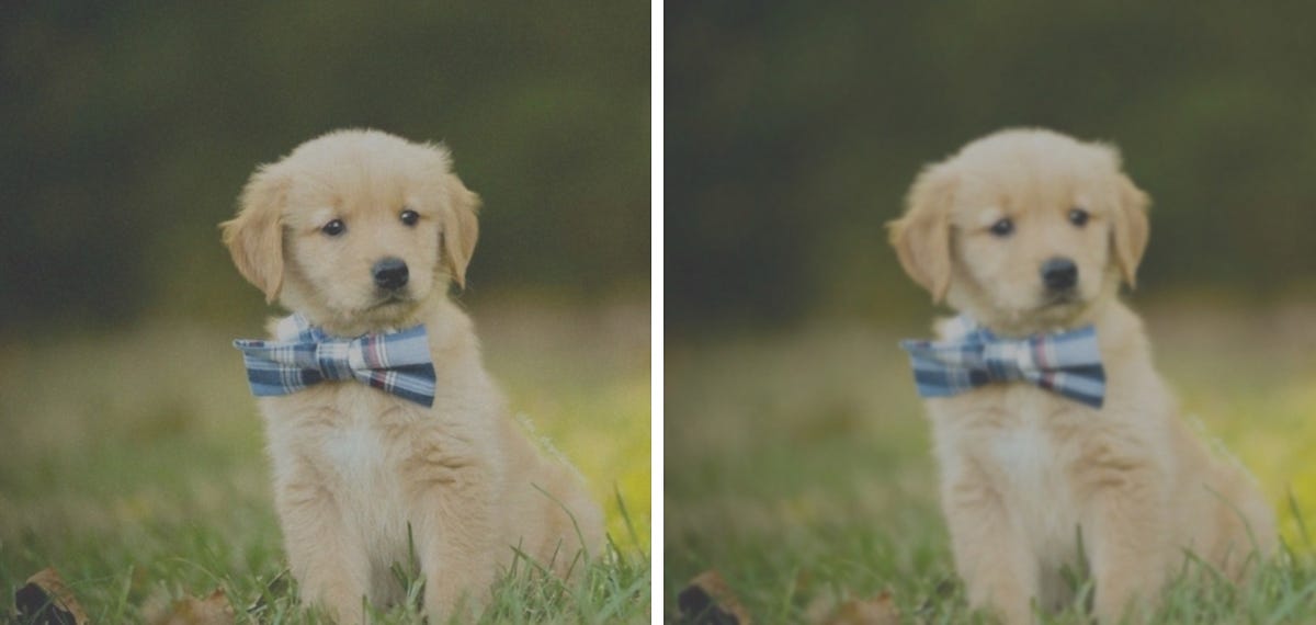 Gaussian Blurring with Python and OpenCV | by Tony Flores | Analytics ...