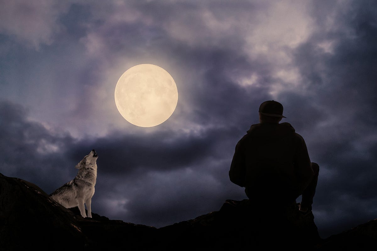 L'homme est-il un loup pour l'homme ? | Medium