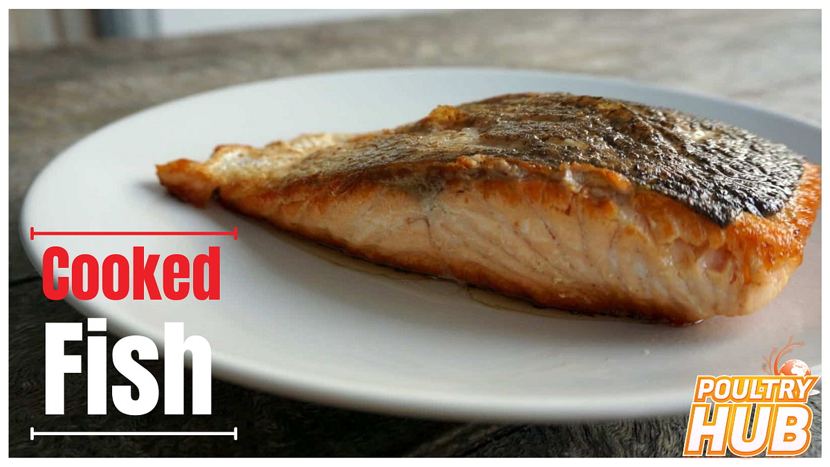 How Long Does Cooked Fish Last In The Fridge? by Poultry Baba Medium