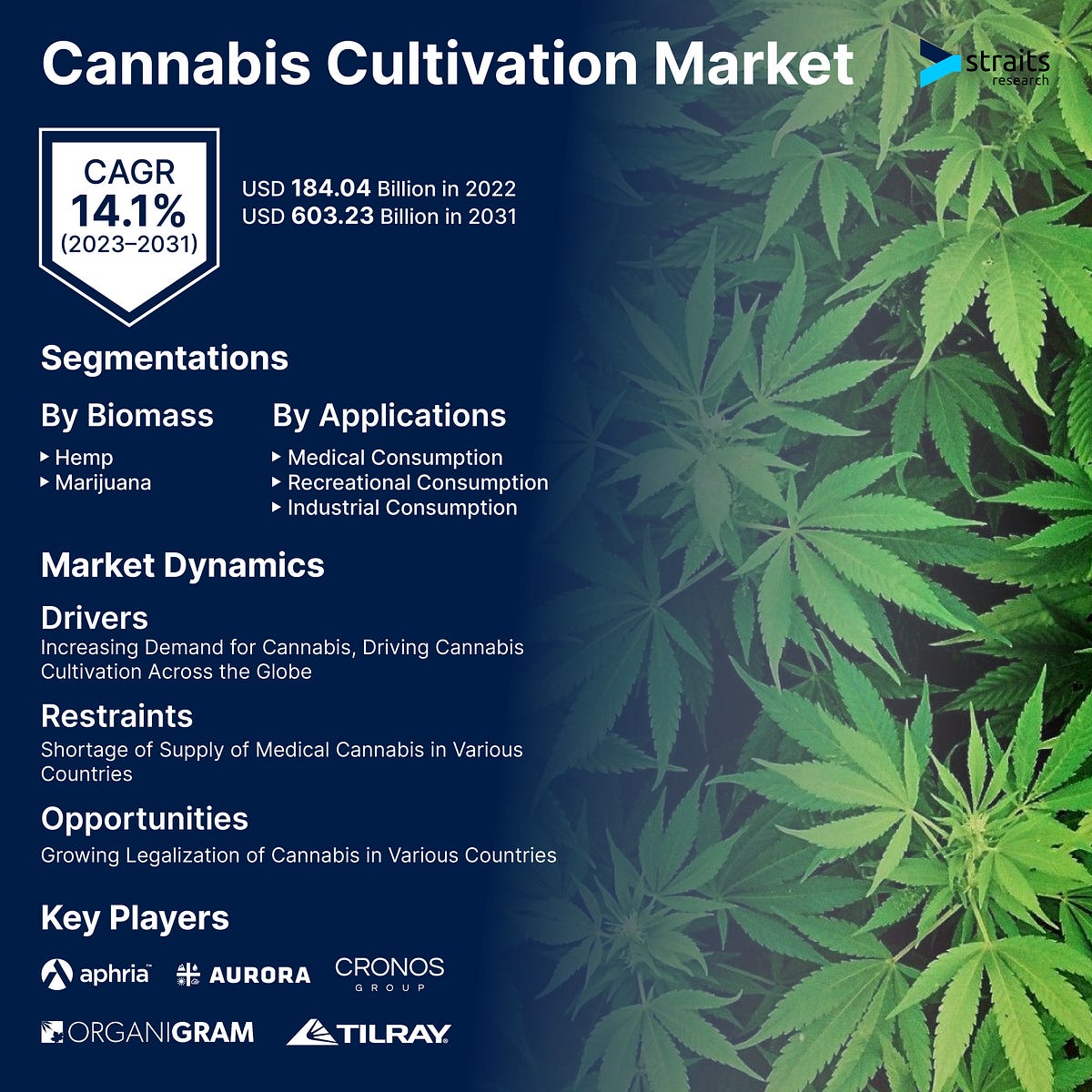 Legal Frameworks and Regulatory Compliance in the Global Cannabis 