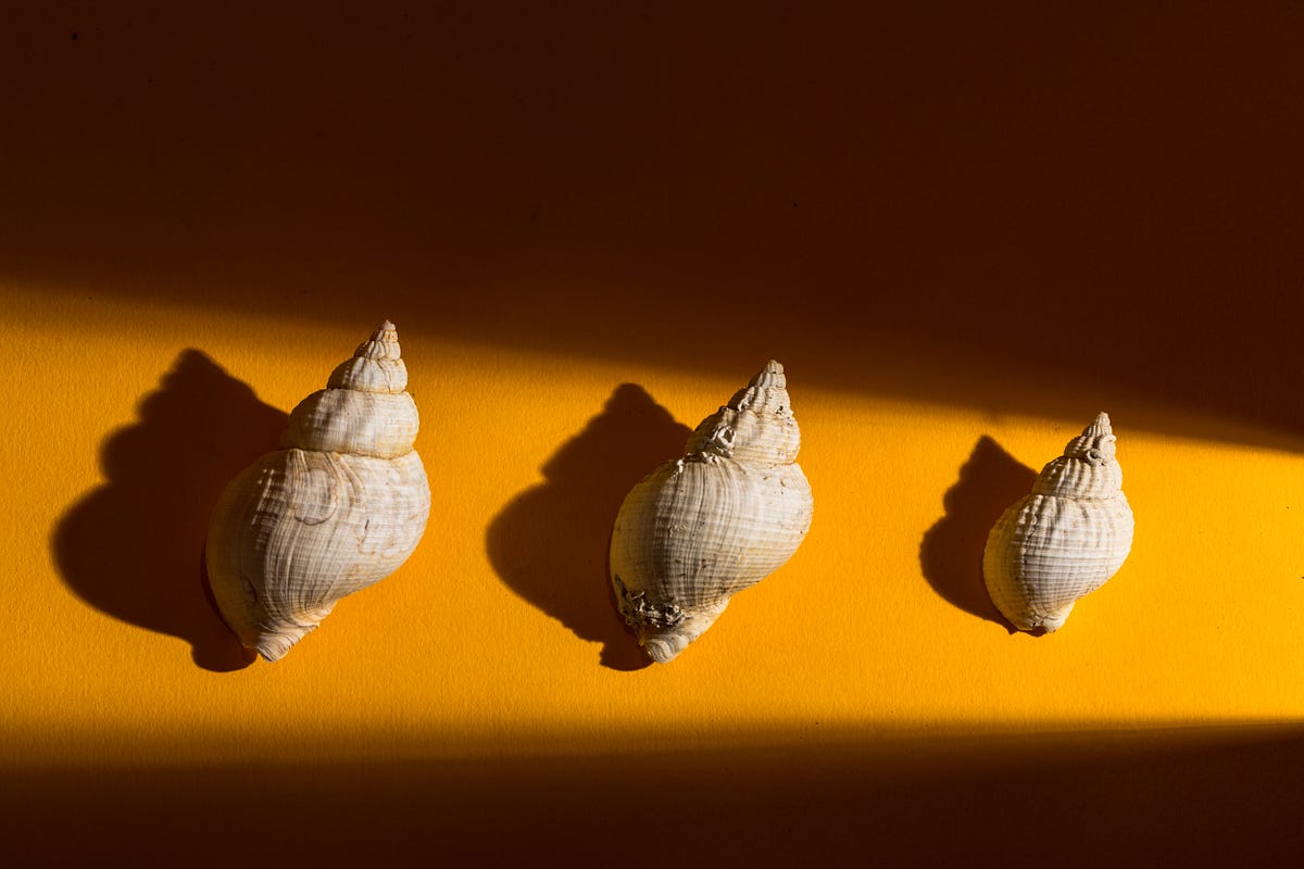 A love letter to hard light. Photographers tend to avoid hard light ...