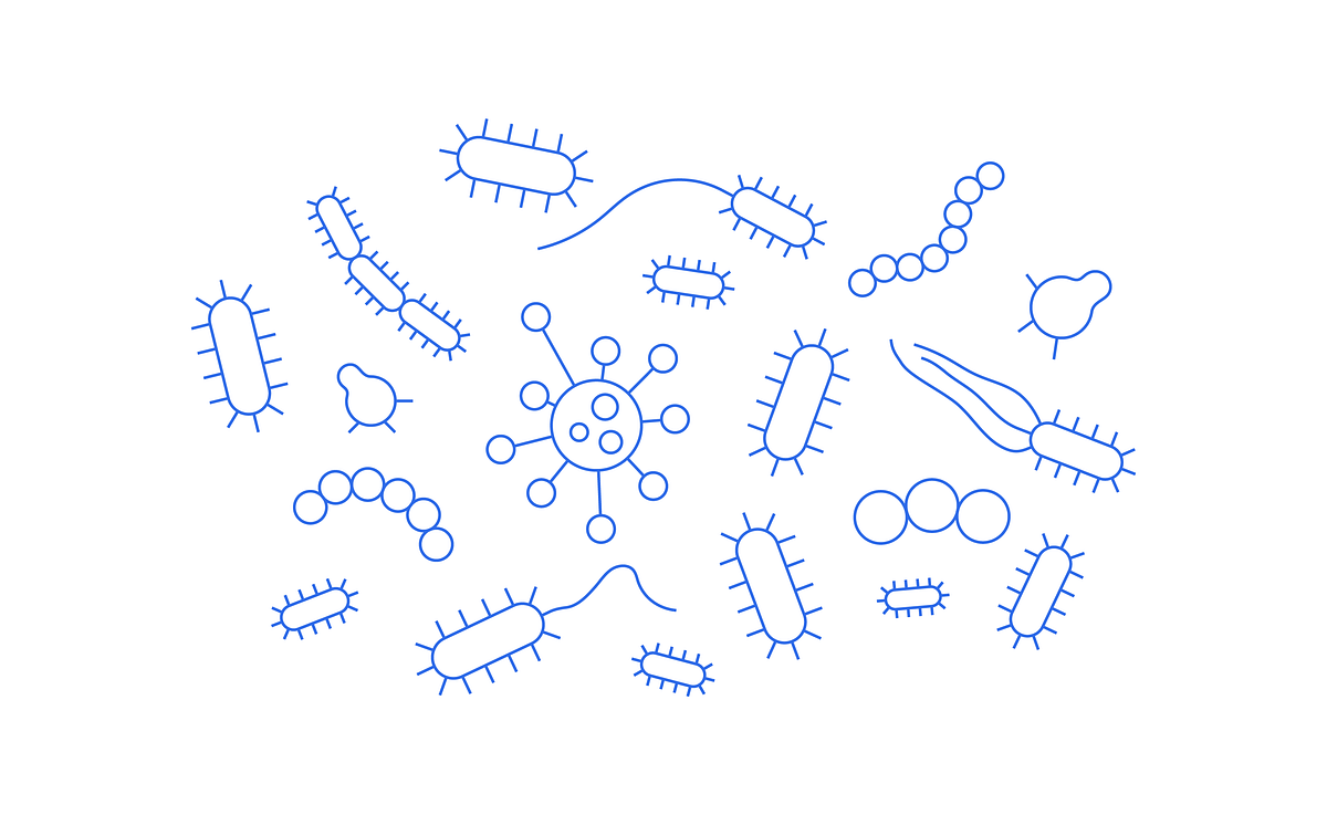 The Human Microbiome. Microbiome Part 1: Introduction 